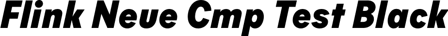 Flink Neue Cmp Test Black font | FlinkNeueCmpTest-BlackIt.otf