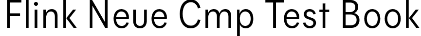 Flink Neue Cmp Test Book font | FlinkNeueCmpTest-Book.otf