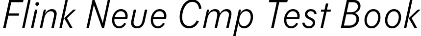 Flink Neue Cmp Test Book font | FlinkNeueCmpTest-BookIt.otf