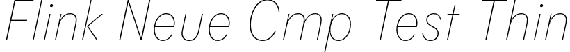 Flink Neue Cmp Test Thin font | FlinkNeueCmpTest-ThinIt.otf