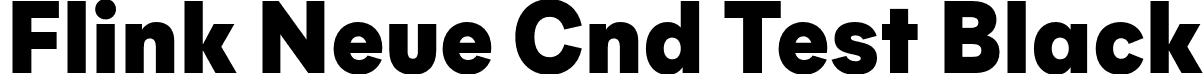 Flink Neue Cnd Test Black font | FlinkNeueTextCndTest-Black.otf