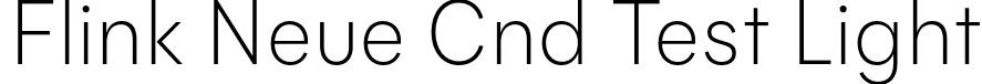 Flink Neue Cnd Test Light font | FlinkNeueTextCndTest-Light.otf