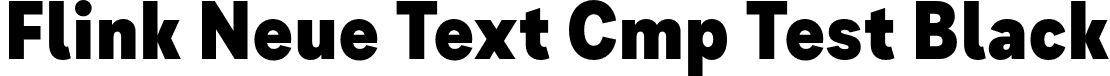 Flink Neue Text Cmp Test Black font | FlinkNeueTextCmpTest-Black.otf