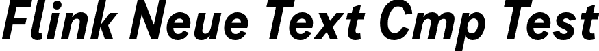 Flink Neue Text Cmp Test font | FlinkNeueTextCmpTest-BoldIt.otf