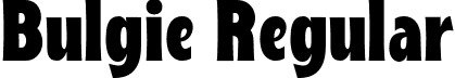 Bulgie Regular font | bulgie.otf