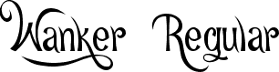 Wanker Regular font | Wanker.ttf