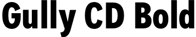 Gully CD Bold font | Gully-CDBold.otf