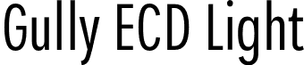 Gully ECD Light font | Gully-ECDLight.otf