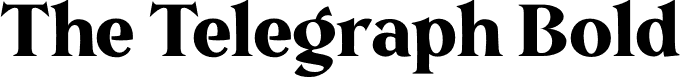 The Telegraph Bold font | TheTelegraph-Bold.otf