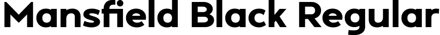 Mansfield Black Regular font | Mansfield-Black-iF66c703e45fe6e.ttf