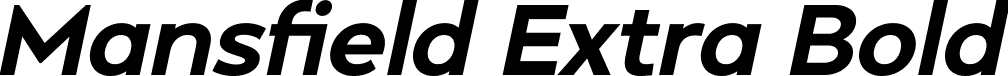 Mansfield Extra Bold font | Mansfield-Extra-Bold-Italic-iF66c703e47ddeb.ttf