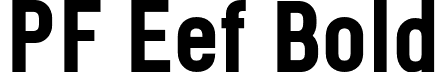 PF Eef Bold font | pfeef-bold-subset.otf