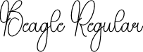 Beagle Regular font | Beagle.otf