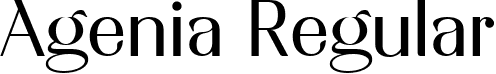 Agenia Regular font | AgeniaRegular-e9yvg.ttf