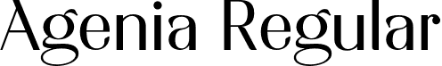 Agenia Regular font | AgeniaRegular-xR4Y0.otf