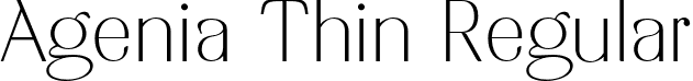 Agenia Thin Regular font | AgeniaThin-DY31m.otf