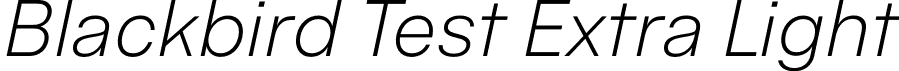 Blackbird Test Extra Light font | BlackbirdTest-ExtraLightItalic.otf