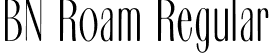 BN Roam Regular font | BNRoam.otf