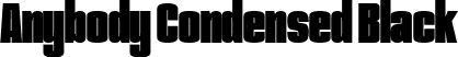 Anybody Condensed Black font | Anybody-CondensedBlack.ttf