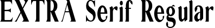 EXTRA Serif Regular font | EXTRASerif-Regular.otf