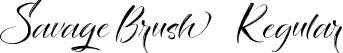 Savage Brush Regular font | SavageBrush-nRga0.ttf