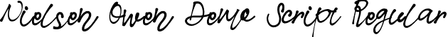 Nielsen Owen Demo Script Regular font | NielsenOwenDemoScript.ttf