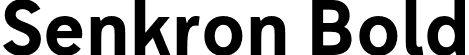 Senkron Bold font | Gurup Stüdyo - Senkron-Bold.otf