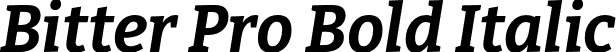 Bitter Pro Bold Italic font | BitterPro-BoldItalic.otf