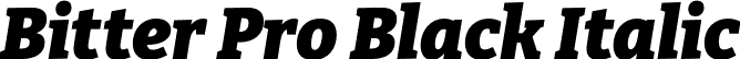 Bitter Pro Black Italic font | BitterPro-BlackItalic.otf