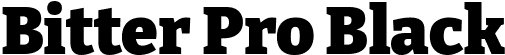 Bitter Pro Black font | BitterPro-Black.ttf