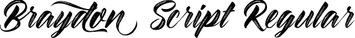 Braydon Script Regular font | braydon-script.ttf