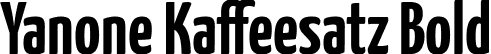 Yanone Kaffeesatz Bold font | YanoneKaffeesatz-Bold.ttf