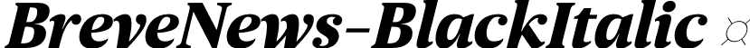 BreveNews-BlackItalic  font | Breve News Black Italic.otf