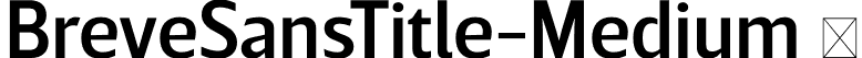 BreveSansTitle-Medium  font | Breve Sans Title Medium.otf