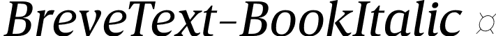 BreveText-BookItalic  font | Breve Text Book Italic.otf