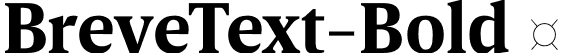 BreveText-Bold  font | Breve Text Bold.otf