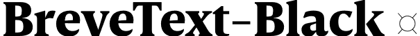 BreveText-Black  font | Breve Text Black.otf