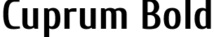 Cuprum Bold font | Cuprum-Bold.ttf