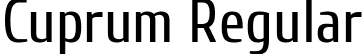 Cuprum Regular font | Cuprum-Regular.ttf