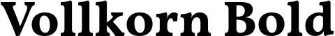 Vollkorn Bold font | Vollkorn-Bold.ttf