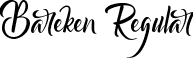 Bareken Regular font | Bareken.ttf