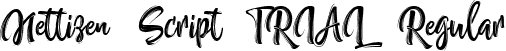 Nettizen Script_TRIAL Regular font | Nettizen_TRIAL.ttf