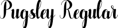 Pugsley Regular font | Pugsley.ttf