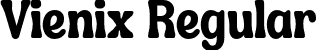 Vienix Regular font | the-hand.otf