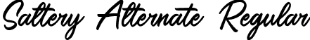 Saltery Alternate Regular font | Saltery Alternate.ttf