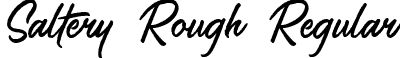 Saltery Rough Regular font | Saltery Regular Rough.ttf