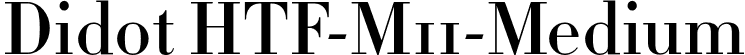 Didot HTF-M11-Medium font | Didot HTF M11 Medium.otf