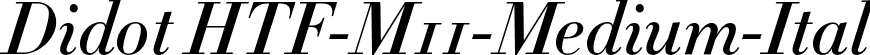 Didot HTF-M11-Medium-Ital font | Didot HTF M11 Medium Italic.otf