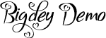 Bigdey Demo font | Bigdey Demo.ttf