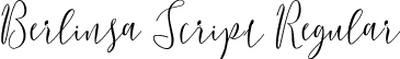 Berlinsa Script Regular font | Berlinsa Script.ttf